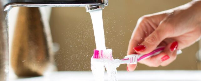 'Absolutely Wild': Viruses Are Teeming on Your Toothbrush And Showerhead