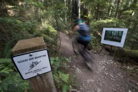 ‘Staggering’ number of spinal cord injuries linked to mountain biking: UBC study