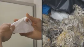 Metro Vancouver wants feds to define that ‘flushable’ wipes aren’t really flushable