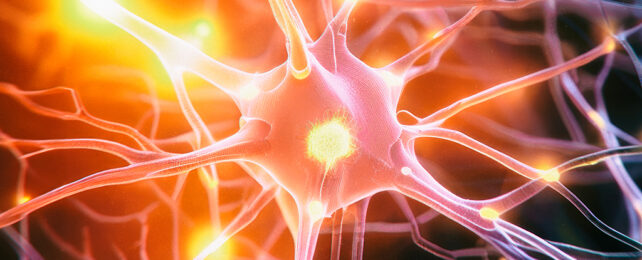 New Drug May Prevent Cognitive Decline in Parkinson's Disease