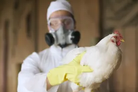 U.S. confirms 1st severe bird flu case, California declares state of emergency