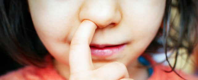 Mouse Study Suggests Surprising Link Between Alzheimer's And Nose-Picking