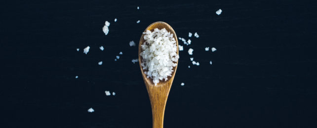 The World Just Got New Advice on Salt. Here's What You Need to Know.