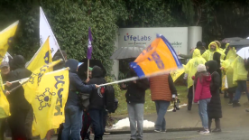 Picket lines go up at some LifeLabs locations as workers begin strike action