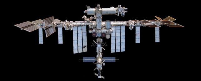 The ISS Has a Hygiene Problem, But It's Not What You'd Think